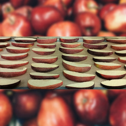 Apple, Honey Crisp, Freeze-Dried