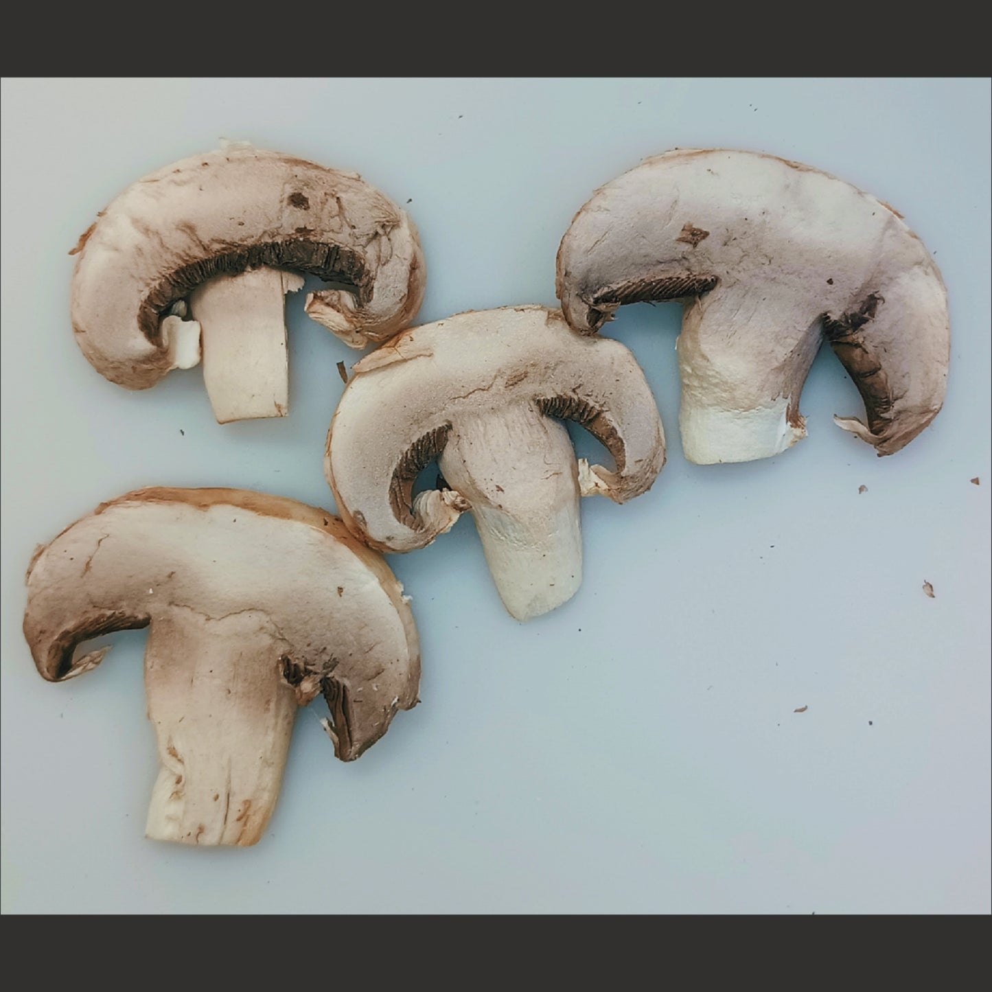 Mushroom, White, Freeze-Dried